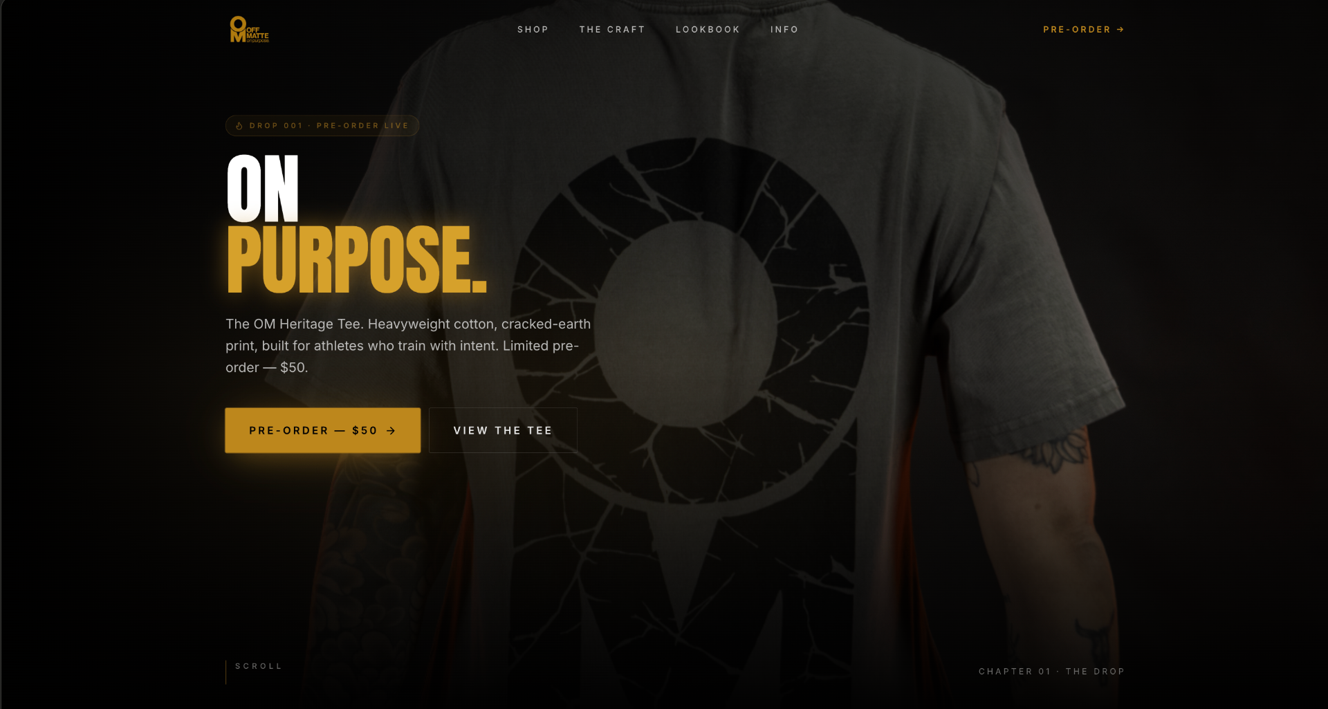 Jiu-Jitsu website screenshot 1